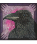 Raven Totem Animal Flower of Life Grid Card Laminated 8x8in Transformati... - $8.41