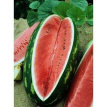 110 seeds watermelon, ALLSWEET, 25-50 LB FRUIT! sweet - £10.51 GBP