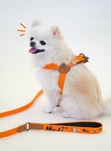 Howlpot Leash- Halloween| Dog Leash | Dog Training | Unique Pattern | Durable Le - £27.17 GBP