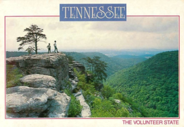 Postcard Tennessee The Volunteer State Scenic View ZB10 - $4.90