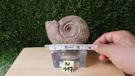 Item image 13
