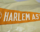 Vintage Harlem Astronauts Signed Basketball Pennant Number 99 Jim - $44.54
