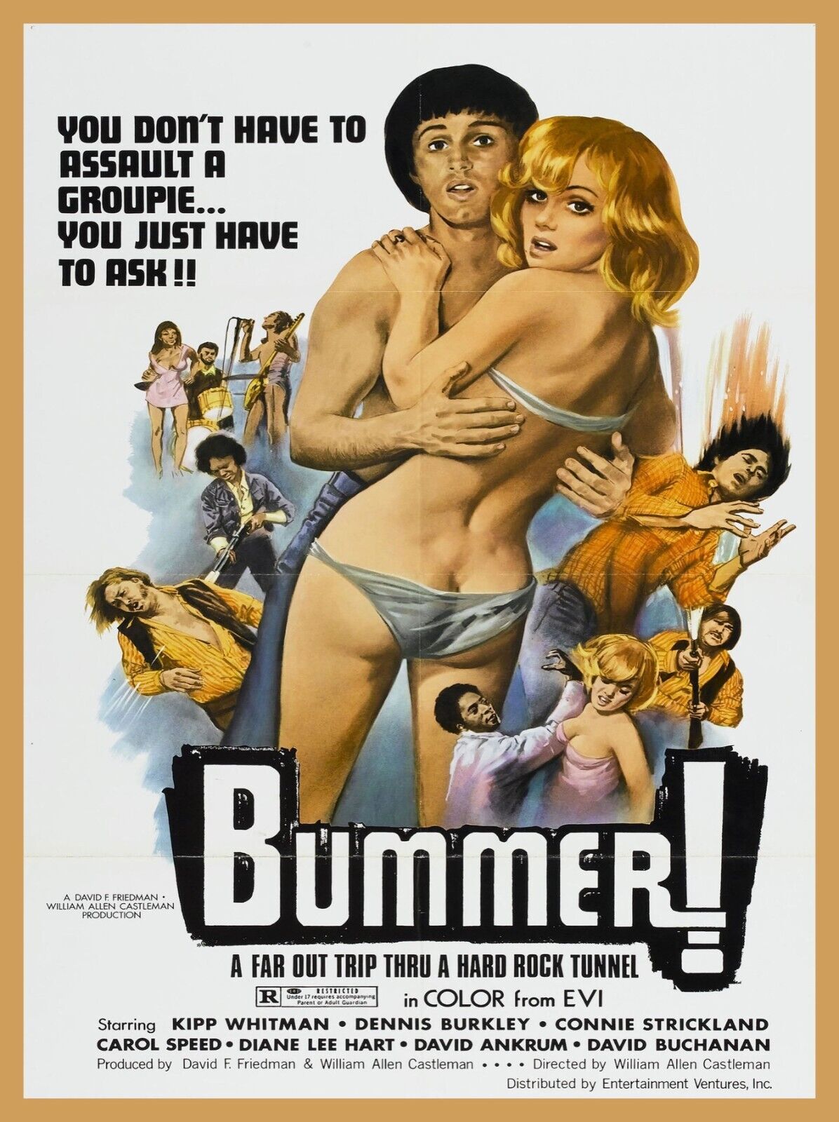 9818.Decoration Poster.Room wall design.Retro B movie film Bummer.Groupie