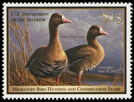 RW78, 2011 White-Fronted Geese Federal $15 Duck Stamp Mint NH - Stuart Katz - £35.26 GBP