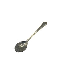 Hampton Silversmiths Stainless Shell Shaped Sugar Spoon 6.25 inch - $17.81