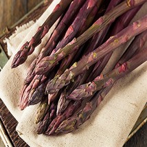 Purple Pacific 50 Live Asparagus Bare Root Plants -2yr-Crowns from Hand Picked N - £60.49 GBP
