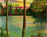 Specchio Lago Bellingrath Giardini Fiume Mobile Alabama Al Lino Cartolin... - $10.20