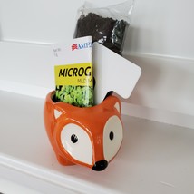 Fox Planter with Microgreens Seed Kit, gardening gift, ceramic animal planter