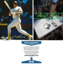 Jose Canseco Oakland A&#39;s signed baseball 8x10 photo Beckett COA proof autograph. - £79.12 GBP