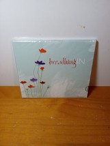Various Artists Breathing In CD Enhanced CD Hillsong Jobe Casting Crowns - £7.75 GBP