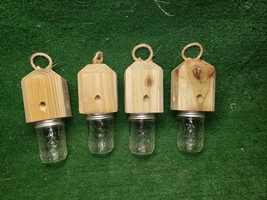 4 Carpenter bee trap - £43.96 GBP