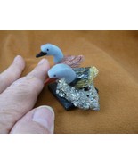 (Y-DUC-455) pair of Ducks red + green love bird gemstone STONE gem Peru ... - $17.75