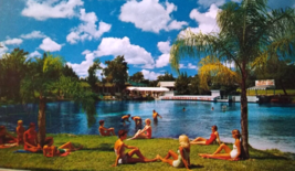 Weeki Wachee Spring Florida Postcard Swimsuit Ladies Underwater Theater Chrome - £9.90 GBP