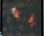 Neiman Marcus Mariposa Menu Lenticular Butterfly Cover 1990&#39;s - $123.62