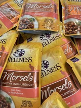 48ct Wellness Healthy Morsels GrainFree Wet Cat Food No Box/date B1 Reta... - $49.49