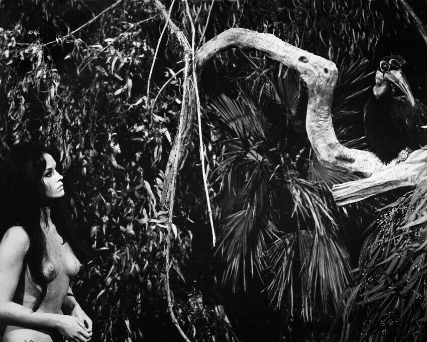 Tarzana, The Wild Girl Femi Benussi naked in jungle 12x18 Poster