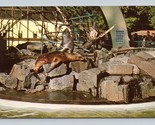 Monkeys Sigilli Sea Lions STANLEY Park Zoo Vancouver BC Unp Cromo Cartol... - £5.57 GBP