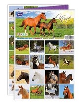 Memory Game Pexeso Horses (Find the pair!), European Product - £5.72 GBP