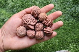 9 pcs Desert Rose Natural Raw Gemstone Crystal Selenite Sand Rose  - $18.81