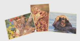 Milwaukee Zoo Vintage Postcard Lot Of 3 Large 7&quot; X 5&quot; Mint - £3.81 GBP