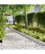 vidaXL Lawn Edgings 30 pcs 39.4x0.2x7.9 in Stainless Steel - $851.62 CAD
