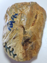 Item image 15