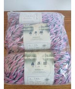 (3 Pack) Lion Brand Yarn 135-234 Hometown Bulky Yarn, Jacksonville Taffy - $15.84