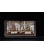 Antique Underwood Stereoview Male Malarial Mosquito Nature Rare 13632 U-... - €12,87 EUR