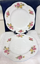 2 Shelley Begonia Dinner Plates England Great Shape 10 3/4 Inch No Chips - £27.22 GBP