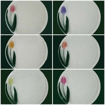 Kathleen Eggert Fused Glass Plates 8&quot; Set of 6 Tulips Floral Clear Vintage - £94.43 GBP