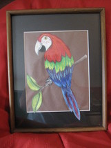  Framed Parrot Cutout Colorful Picture - $6.76