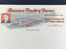 20 Vintage Letterhead GASSON&#39;s POULTRY FARMS  Ped. White Leghorns Versai... - $6.93