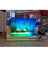 Light &amp; Sound Ocean sounds Moving Beach Scene Mirror border Wall Hanging... - $89.09