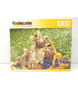 Kodacolor Spring Innocence Cute Kitty Cats Playing 1000 Pc Puzzle Fun Gi... - £17.08 GBP
