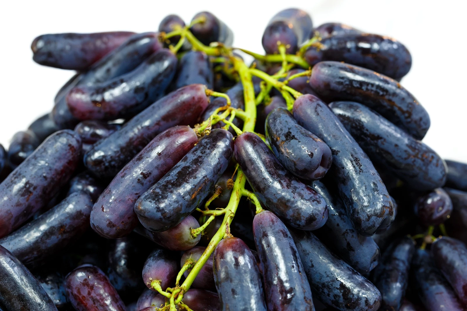 5 BLACK FINGER GRAPE Vitis Viniferia Fruit Vine Seeds - $12.95