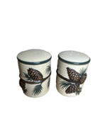 Expressions Ceramic Salt And Pepper Shakers Pine Cone Lodge Cabin Rustic Decor - $22.53 CAD