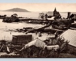 Chinemutu Village Rotorua New Zealand NZ UNP DB Postcard B16 - $19.75