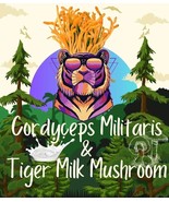 Tiger Milk Mushroom &amp; Cordyceps Militaris capsules (120) CERTIFIED ORGAN... - £18.37 GBP