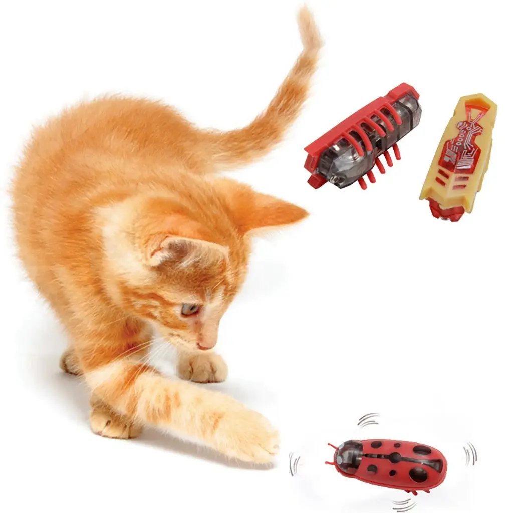 House Home A Automatic Cat Toy Crawl Electric Bug Ladybug Aligent Shake Funny Ca - £19.98 GBP