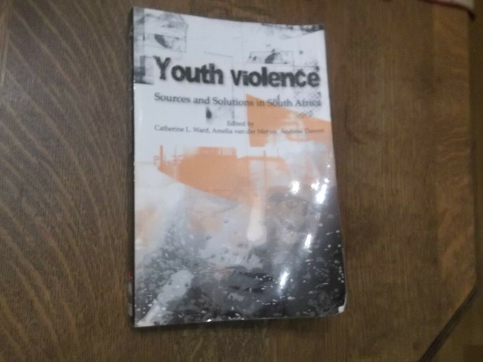 Youth Violence : Sources and Solutions in South Africa (2012, Paperback) - $37.61