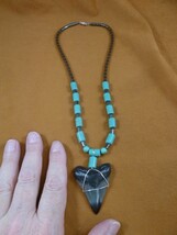 s249-41) 2&quot; fossil MEGALODON shark Tooth turquoise + black hematite 20&quot; ... - $68.24