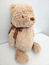 Disney Baby Classic Winnie the Pooh Plush Teddy Bear Nursery Stuffed Animal 17” - $16.34