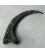 Jurassic Park Velociraptor Claw Fossil, Prop, Raptor, Hand Painted - $382.78 MXN