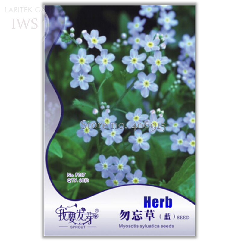 Blue Myosotis Sylvatica Forget Me Flower Seeds 60 Seeds - $7.99