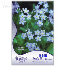 Blue Myosotis Sylvatica Forget Me Flower Seeds 60 Seeds - $7.99