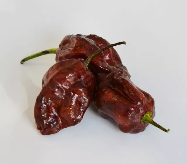 SKMO Fresh SuperHot Scorpion Moruga Chocolate Premium Pepper 20 Seeds  - $9.50