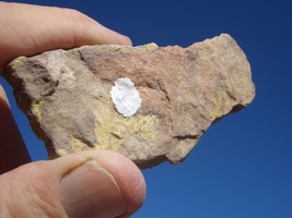 Item image 10