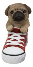 Paw-Star Pups Lifelike Pugsie Fawn Pug Puppy Dog in Sneaker Chucks Shoe Statue - £27.32 GBP