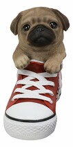 Paw-Star Pups Lifelike Pugsie Fawn Pug Puppy Dog in Sneaker Chucks Shoe ... - €30,61 EUR