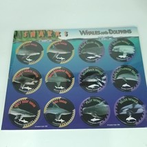 Pogs Sharks Whales Dolphins Custom Caps Sealed On Card NEW - £15.63 GBP